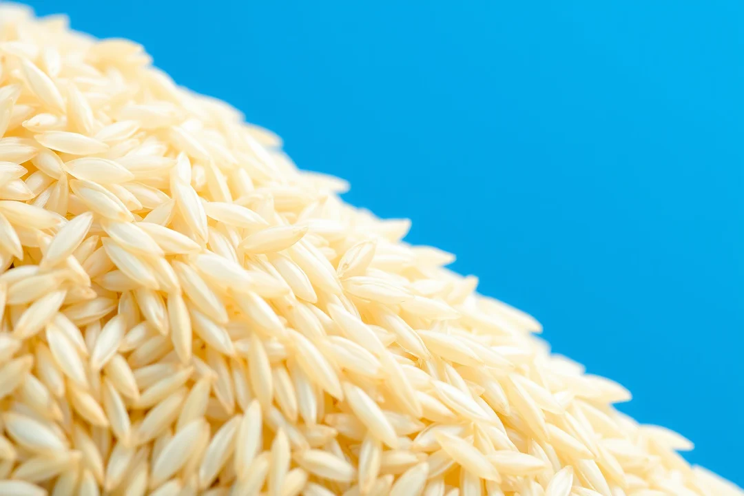 The Growing Demand for Brazilian Rice in Global Markets